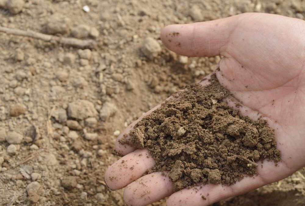 Gardening and getting the best out of clay soils