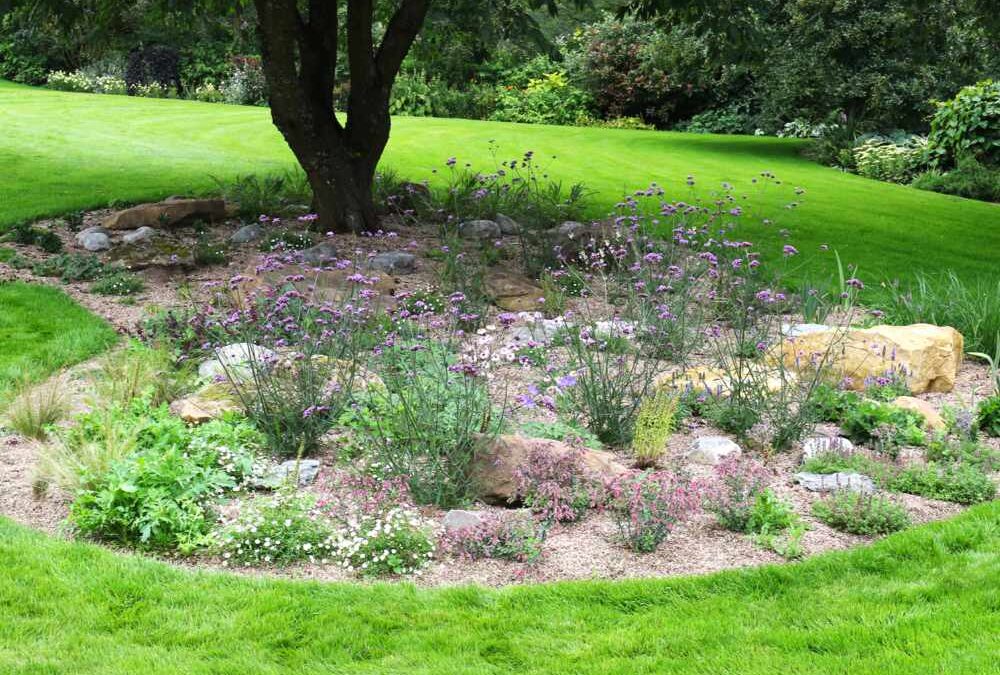 Creation of a dry garden
