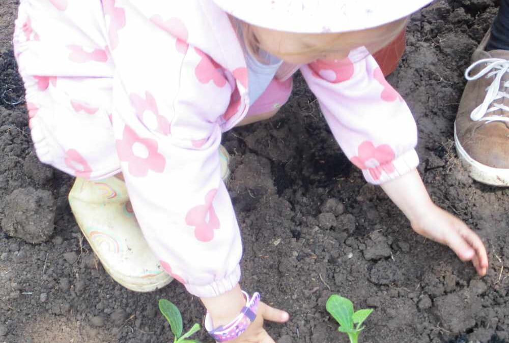 Learning to grow food competition brief 2022