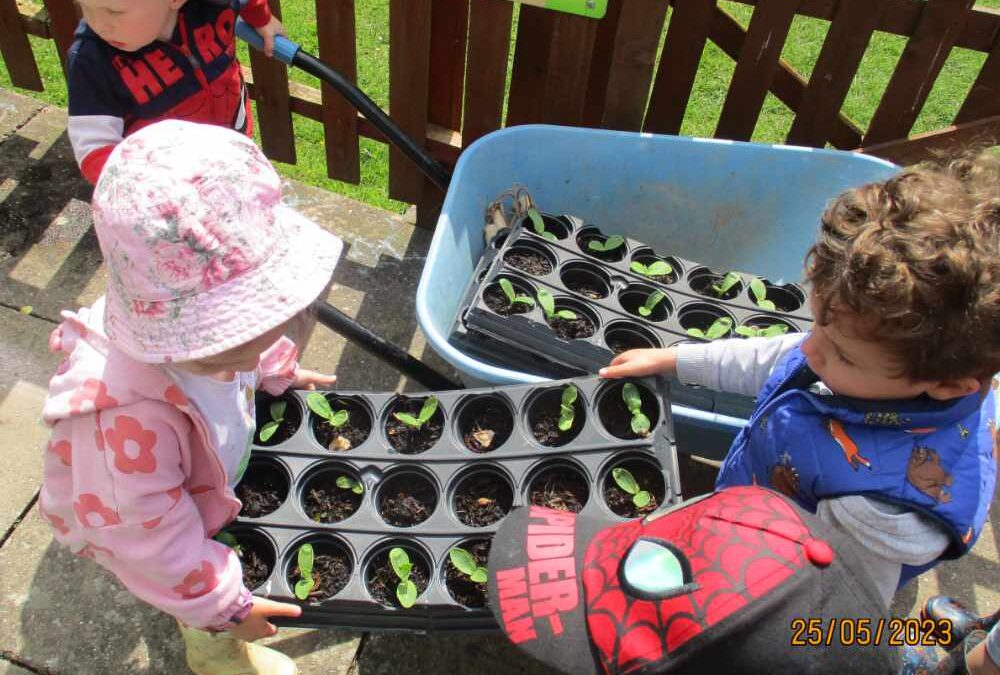 Learning to grow food competition brief 2024