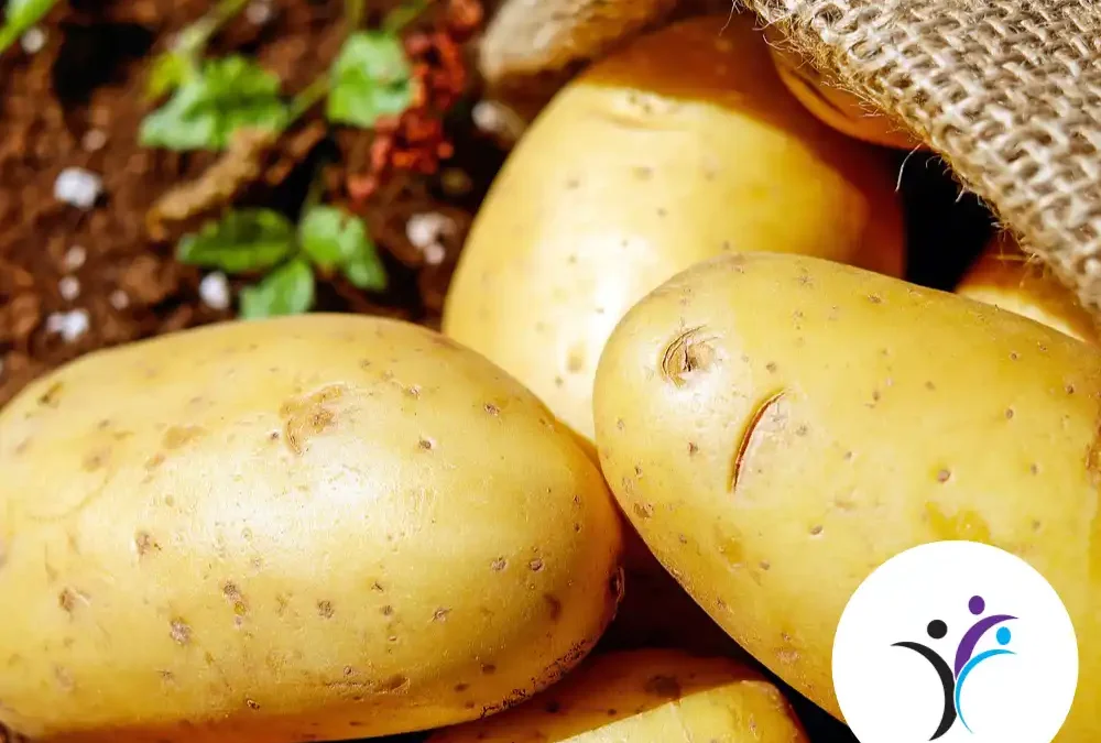 Learning to grow food competition brief 2025 – Wyre Forest School