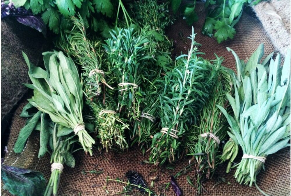 Seven Essential Herbs