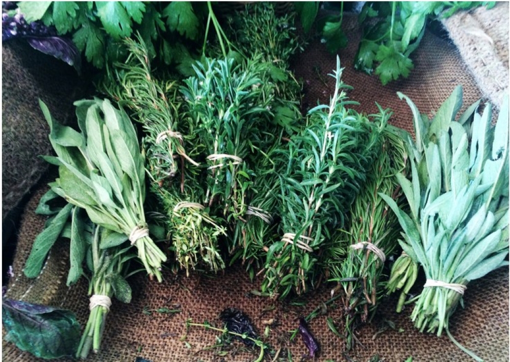 Herbs