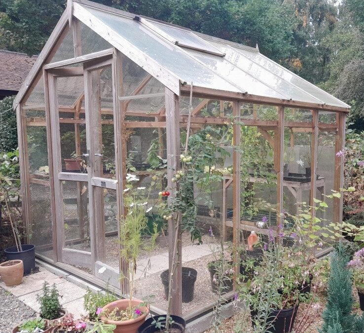 Making the Most of Your Greenhouse